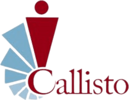 Callisto Inc.